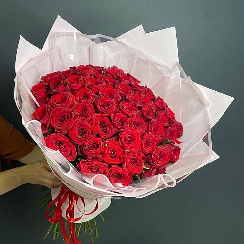 51 roses red 60 см в белой упаковке