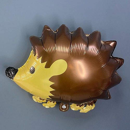 Шар Ежик