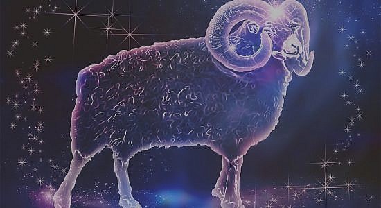 цветы женщине овну