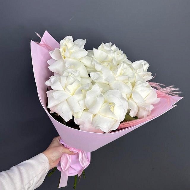 белые французкие розы