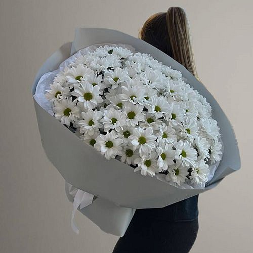Букет 15 кустовых ромашковых хризантем
