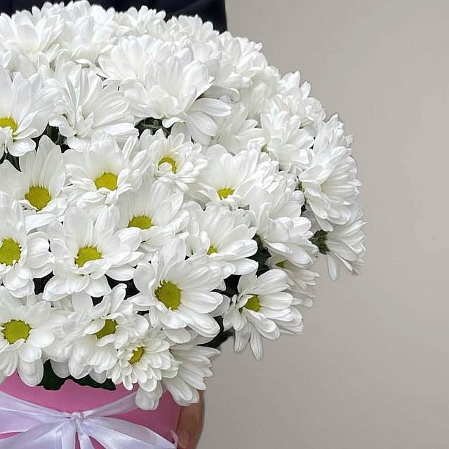 Бокс из белых ромашек вид справа