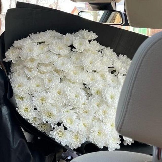 17 белых хризантем вблизи