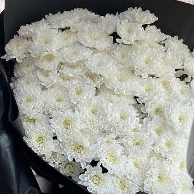 17 белых хризантем вблизи справа