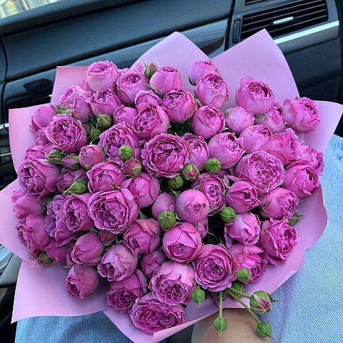 19 пионовидных роз мисти