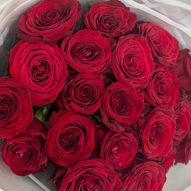 35 красных роз red naomi вблизи