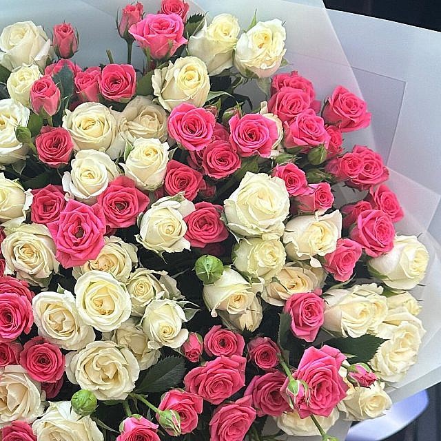 39 кустовых роз микс белые и малиновые вблизи
