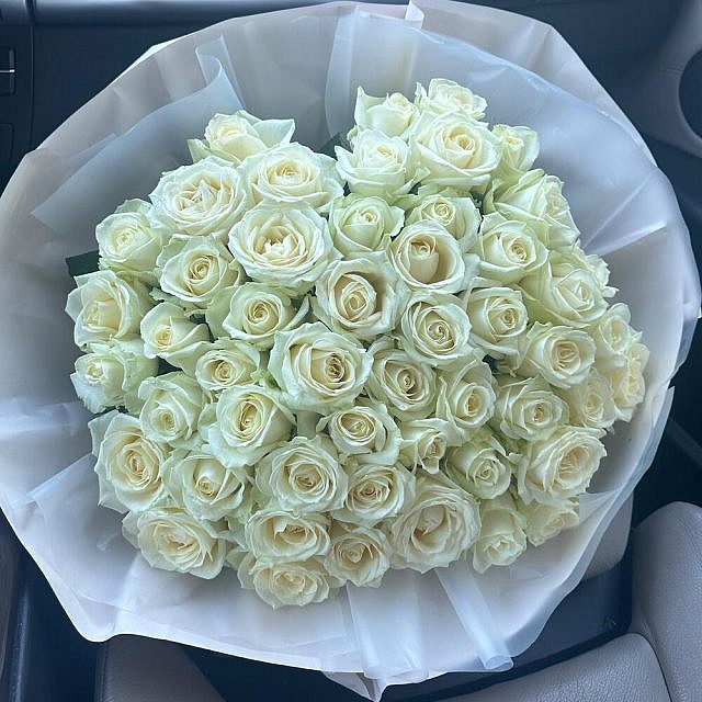 51 белая роза аваланш вблизи